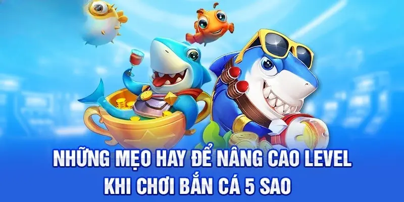 Áp dụng chiến thuật mang về số tiền thưởng lớn