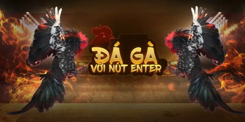 Các trận đá gà online đa dạng