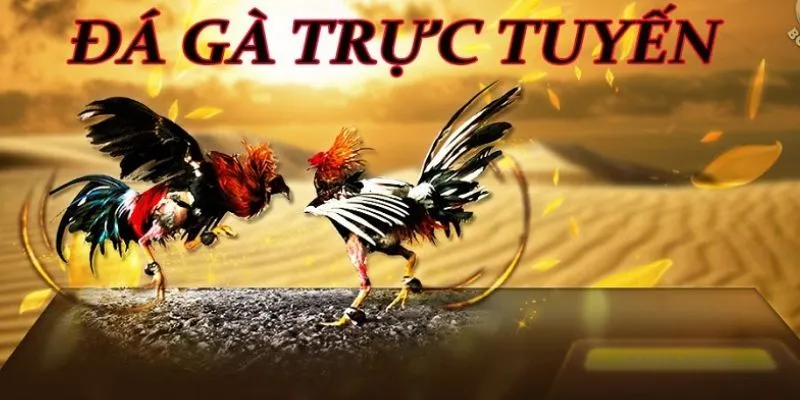 Đá gà online mang đến sự linh hoạt cho người chơi