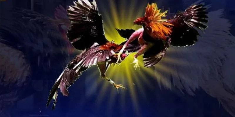 màu mạng đá gà 88clb