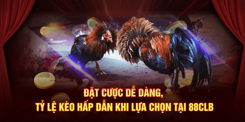 Đặt cược dễ dàng, tỷ lệ kèo hấp dẫn khi lựa chọn tại 88CLB